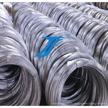 Galvanized Steel Wire Galvanized Wire